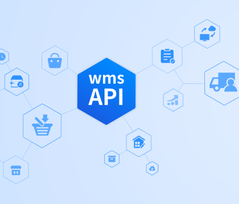 wmsAPI