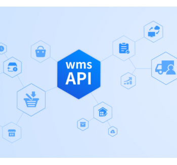 wmsAPI